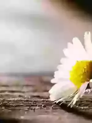 Easter Sunday - Sunday 5th April